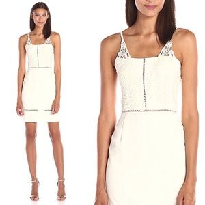 NWT J.O.A. Cream Lace Dress